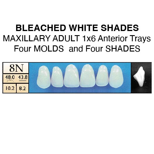BLEACHED SHADES--Upper 1x6 Anteriors